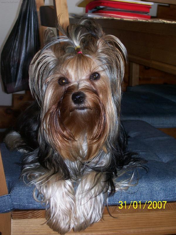Foto: Bessy